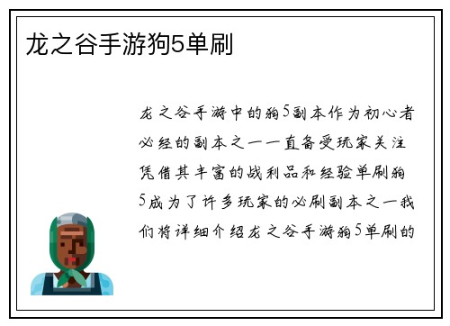 龙之谷手游狗5单刷